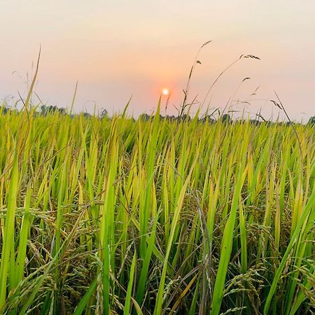 Lotus Retreat 胡志明市 外观 照片
