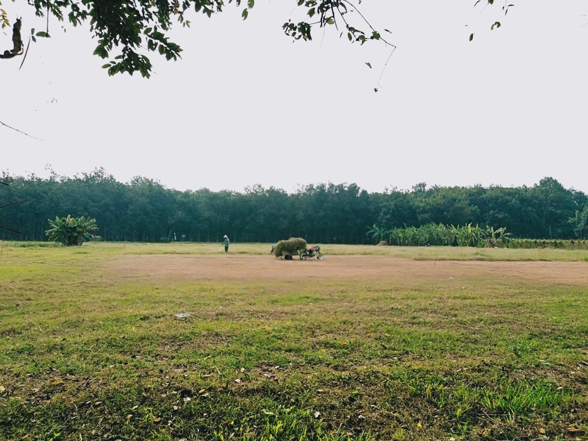 Lotus Retreat 胡志明市 外观 照片