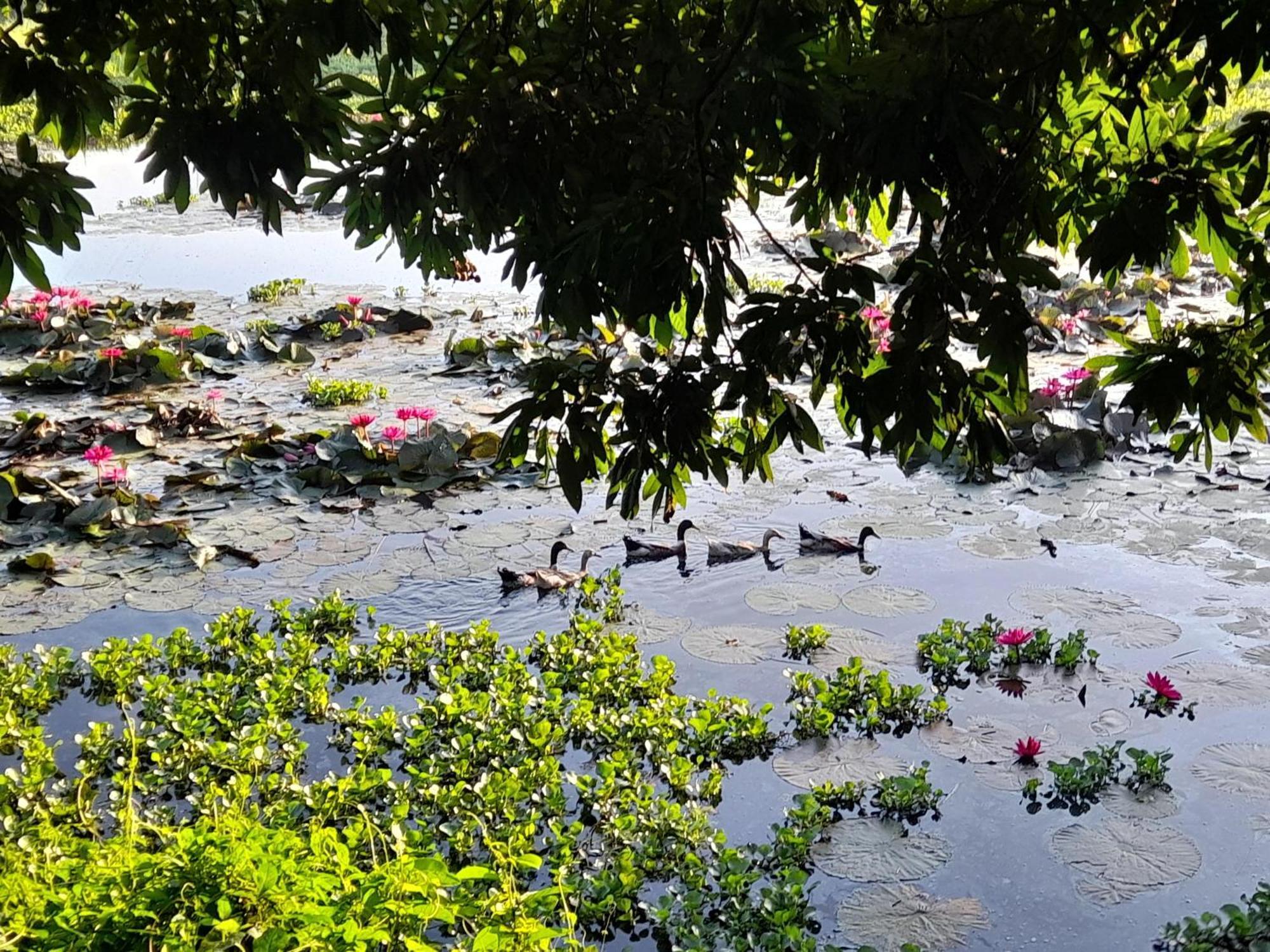 Lotus Retreat 胡志明市 外观 照片