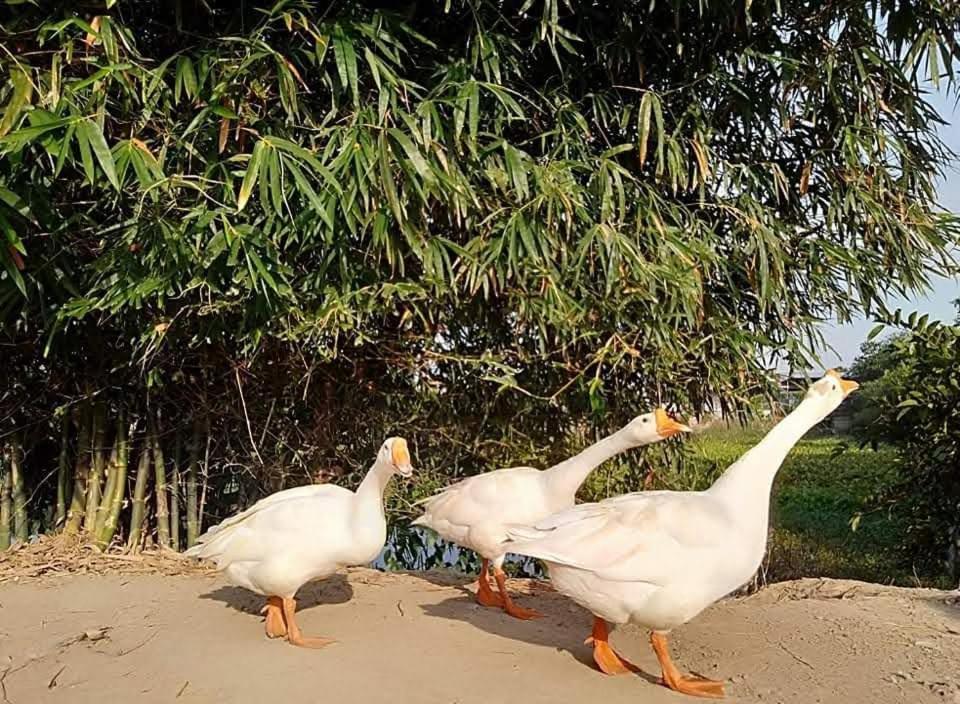 Lotus Retreat 胡志明市 外观 照片